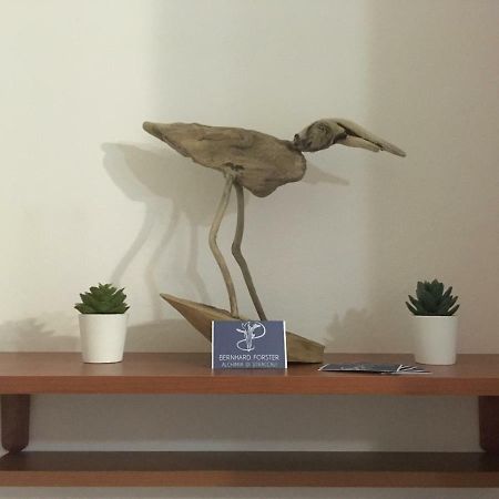 Апартаменти Il Mio Piccolo Angolo Di Mare В'яреджо Екстер'єр фото